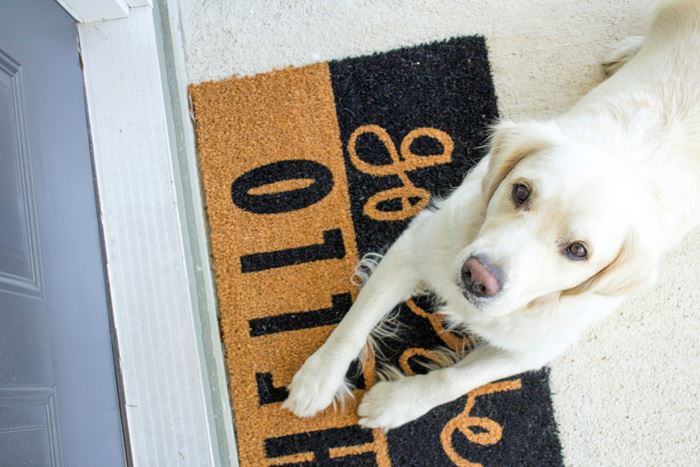 How to Keep Your Carpet Clean in the Winter Months