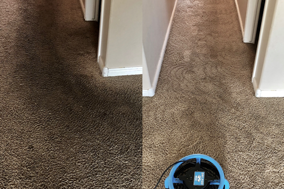 Screen Shot 2020-08-13 at 10.55.24 AM.png