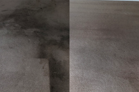 Screen Shot 2020-08-13 at 10.56.29 AM.png