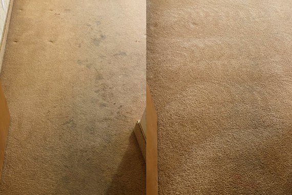 Screen Shot 2020-11-03 at 2.07.39 PM.png