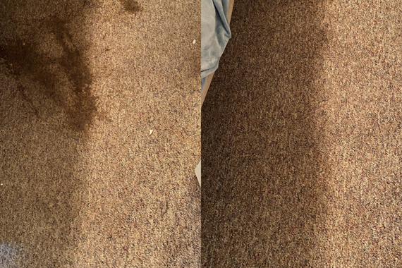 Screen Shot 2020-11-17 at 1.08.52 PM.png