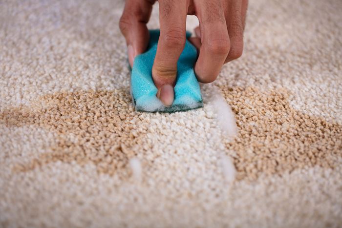 The Top Five Stains and Our Stain Removal Tips: A Complete Guide