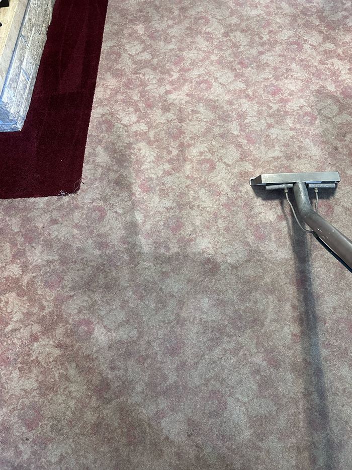 Why Regular Carpet Cleaning Is Essential For A Healthy Home