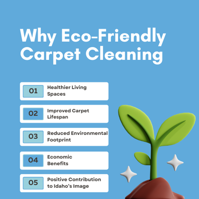 Why Choose Eco-Friendly Carpet Cleaning? The Benefits Explained