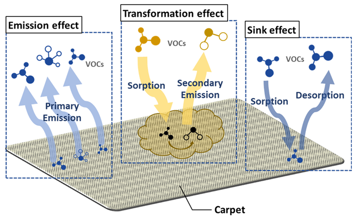 The Impact of Carpets on Indoor Air Quality