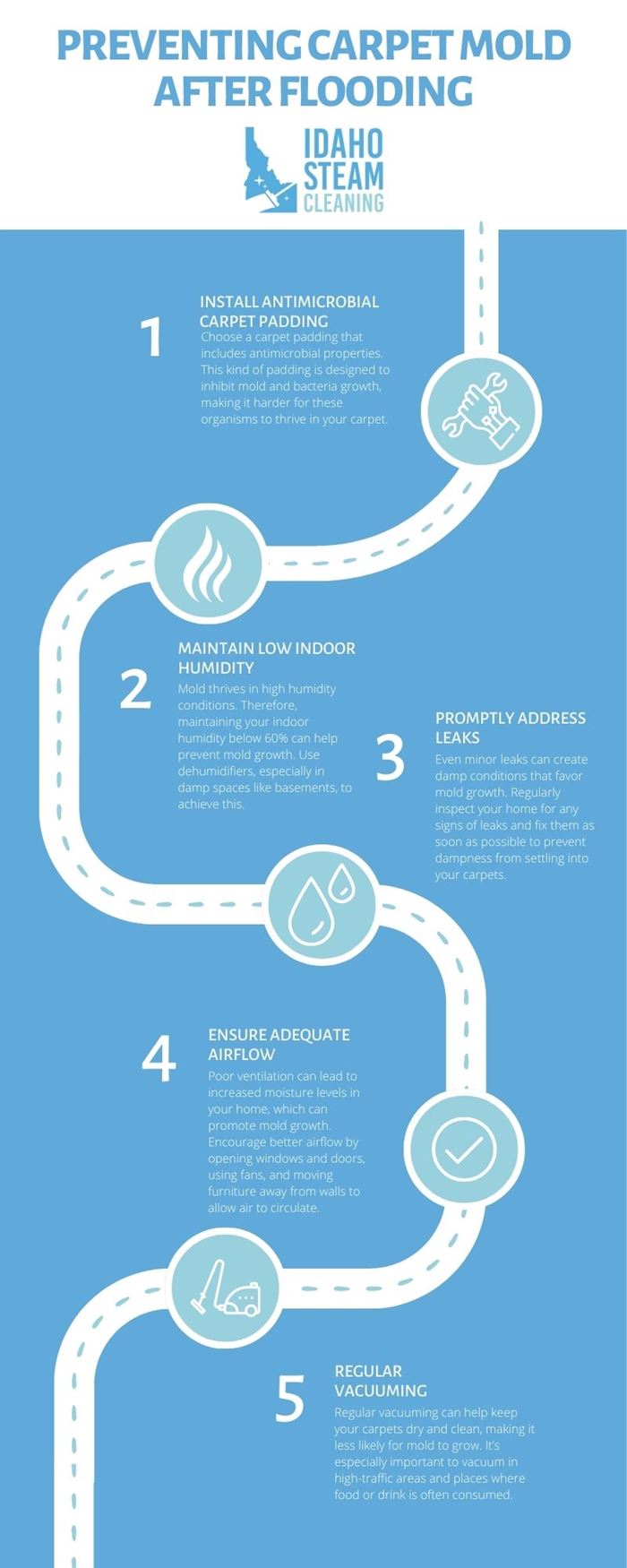 Preventing Carpet Mold After a Flood or Leak: Your Comprehensive Guide