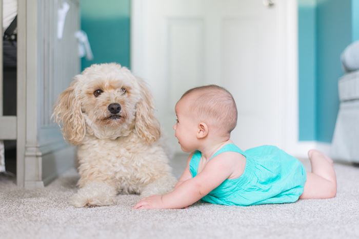 Preparing for Carpet Cleaning: Your Pre-Carpet Cleaning Checklist